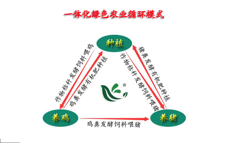 原创丨养鸡、养猪、种植一体化绿色农业技术