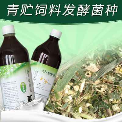 青贮饲料