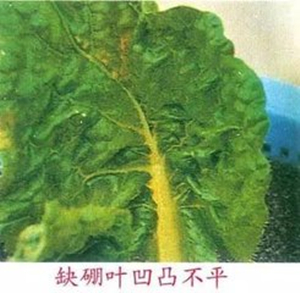 t0158c126a2cad2c1ab.jpg t0158c126a2cad2c1ab.jpg