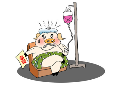 养猪.jpg 养猪.jpg