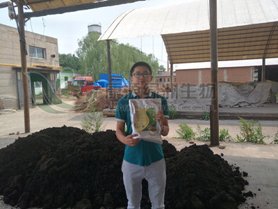 有机肥 有机肥