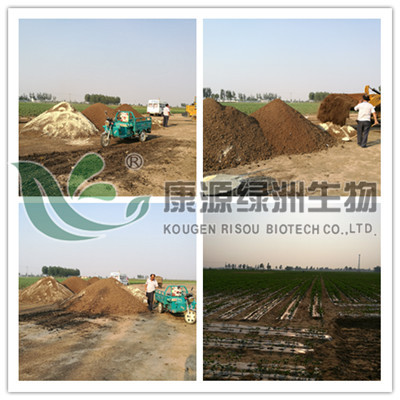 有机肥 有机肥