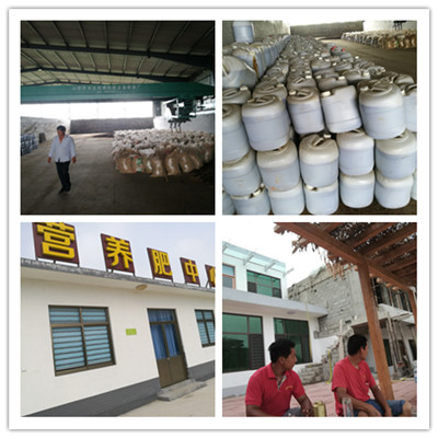 有机肥操作方法