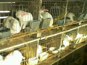 6356704456420912744840961_副本.jpg 6356704456420912744840961_副本.jpg